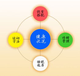 健康管理的特點(diǎn) 構(gòu)建全面、主動(dòng)、個(gè)性化的健康守護(hù)體系